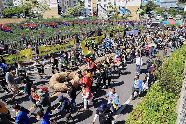 ▲ 충남 당진을 대표하는 유네스코 인류무형문화유산인‘기지시줄다리기 민속축제’가 15일 막을 내린 가운데 행사 마지막 하일라이트인 수 천 명이 줄을 당기고 있다. ⓒ당진시