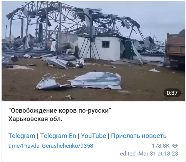 ▲ 파괴된 농장ⓒFrance 24캡처