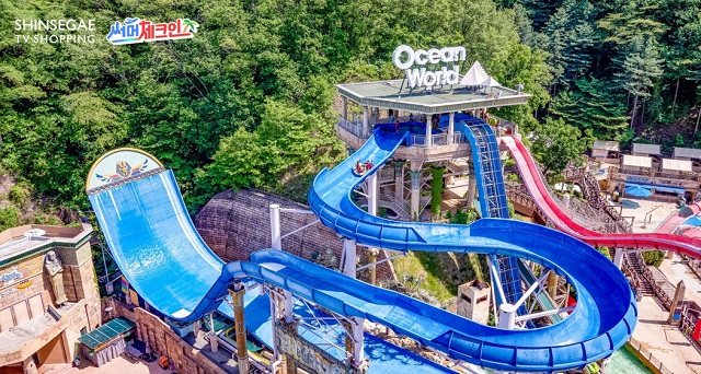 ▲ ⓒ신세계라이브쇼핑