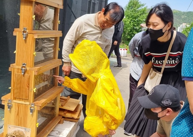 ▲ 학생과 시민이 함께 양봉체험을 하고 있다.ⓒ세종시