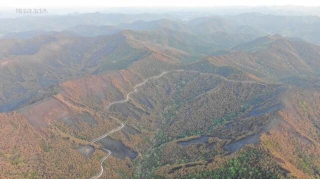 ▲ 경상북도는 안동 풍천·남후 대형 산불피해지 복구를 위해 3년에 걸쳐(2021~2023년) 1078ha에 161억원 예산을 투입한다.ⓒ경북도