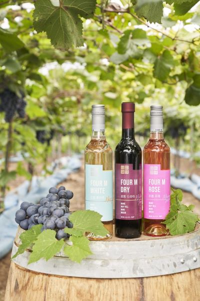 ▲ 영동 갈기산포도농원 와인.ⓒ영동군