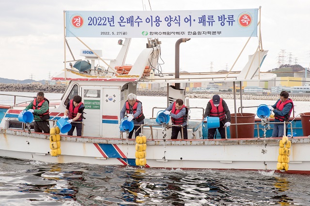 ▲ 한울원자력본부는 지난 27일 월성원전 온배수로 키운 어패류 6만 미를 울진군 북면 석호항에 방류했다.ⓒ한울본부