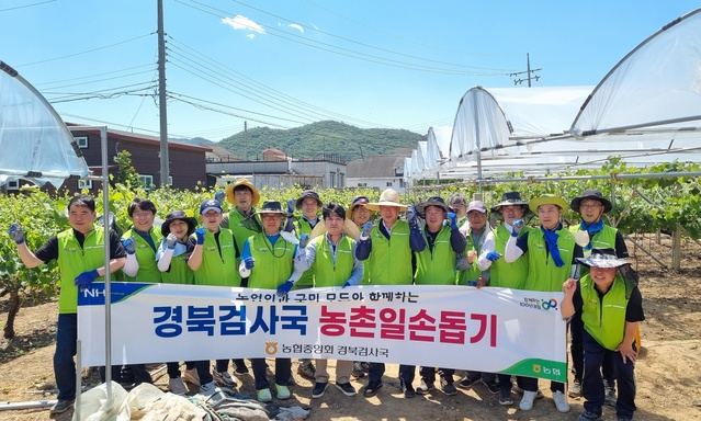 ▲ 농협중앙회 경북검사국(국장 박기화)은 본격적인 영농철을 맞아 지난 27일 경산 지역의 과수농가에서 농촌일손돕기로 구슬땀을 흘렸다.ⓒ농협중앙회 경북검사국