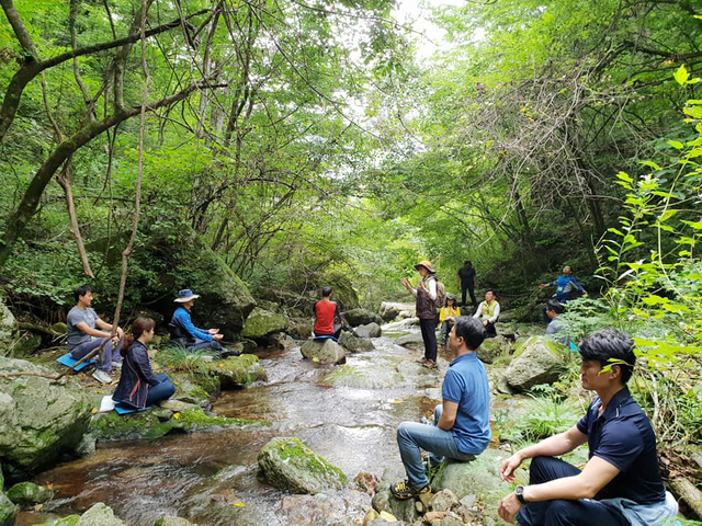 ▲ 세계 건강웰니스시장 1800조 원 시대를 맞이하여, 대구한의대학교(총장 변창훈)는 국내 최초로 치유산업학과를 신설하고, 지금까지 쌓아온 의과학적 인프라와 전문인력을 활용하여 치유산업의 발전에 중점을 두고 세계적인 치유산업 교육의 메카로 육성해가고자 한다.ⓒ대구한의대