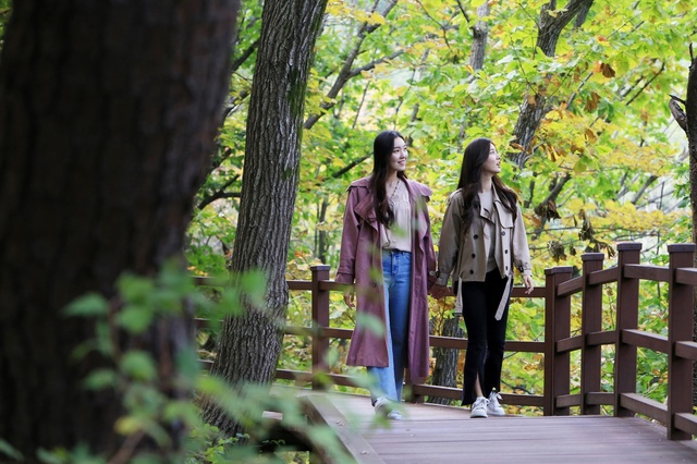 ▲ 영주 ‘마실치유숲’이 산림청 선정 국민들이 숲 여행하기 좋은 국유림 명품숲에 선정됐다.ⓒ영주시