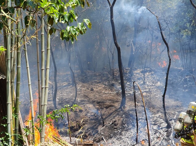 ▲ 5월 31일 낮 12시 51분에 달성군 하빈면 기곡리 야산에서 산불이 발생해 3시간 만에 진화됐다.ⓒ달성군