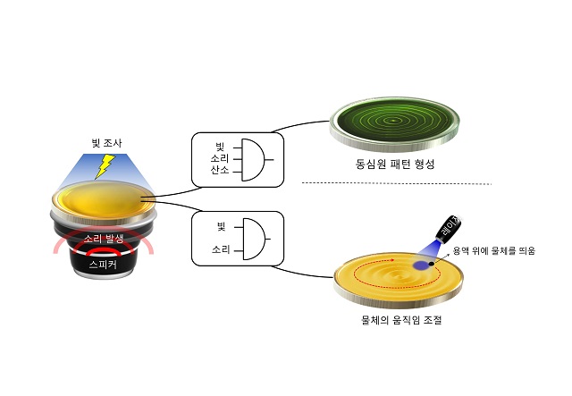 ▲ 비평형 화학반응계가 특정 기능을 수행하는 과정을 불 논리로 해석할 수 있음을 보였다.ⓒ포스텍