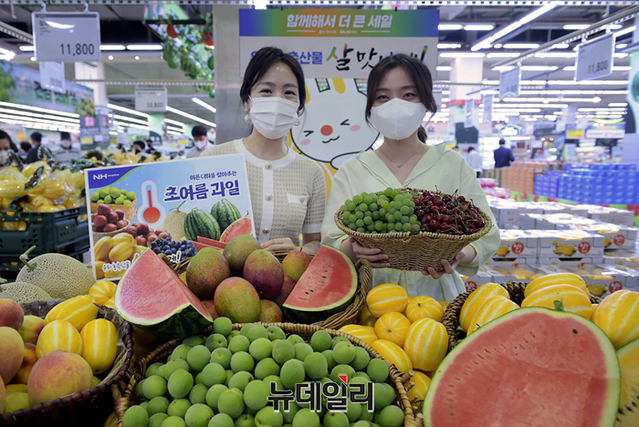▲ 6일 서울 서초구 농협 하나로마트 양재점에서 모델들이 여름을 맞아 제철과일과 이색과일인 애플망고, 블랙망고수박, 국산체리를 선보이고 있다. ⓒ농협유통