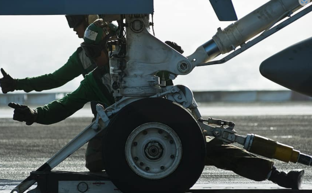 ▲ 캐터펄트ⓒ피키캐스트