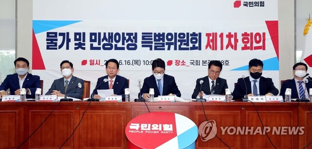 ▲ 국민의힘 류성걸 물가 및 민생안정 특별위원회 위원장이 16일 서울 여의도 국회에서 열린 물가 및 민생안정 특별위원회 제1차 회의에서 발언하고 있다. ⓒ연합뉴스(사진=국회사진기자단)