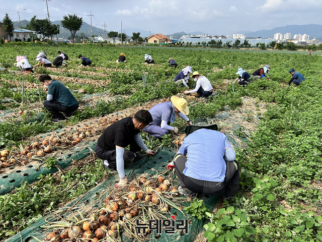 ▲ 20일 강원 철원군 신철원2리 마을에서 농협유통 하나로마트 창동점 임직원 30여 명이 농번기 일손 돕기에 앞서 기념품 전달 및 기념사진을 찍고 있다. ⓒ농협유통