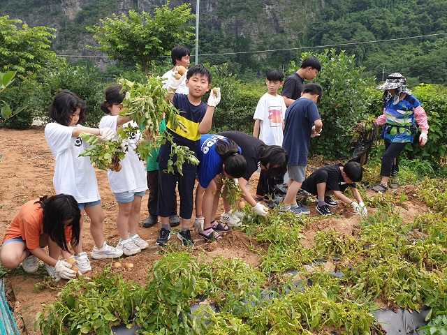 ▲ 학생들이 시설 내 체험농장에서 표고버섯, 아로니아, 오디, 살구, 토마토 등의 과일과 야채를 제철에 직접 수확해 맛보는 영농체험을 하고 있다.ⓒ봉화군