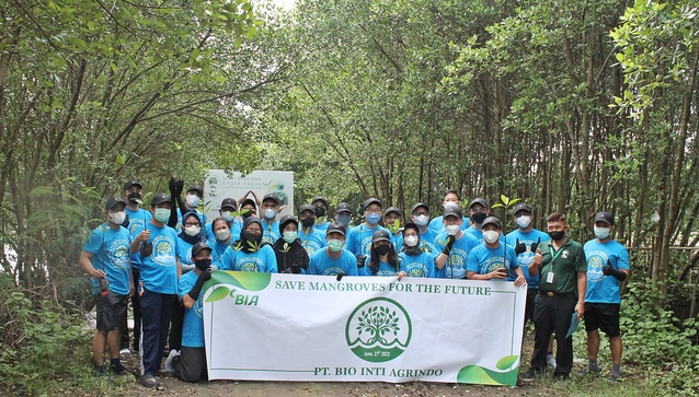 ▲ 포스코인터내셔널은 27일 인도네시아에서 맹그로브 묘목 식재활동을 진행했다고 밝혔다.ⓒ포스코인터내셔널