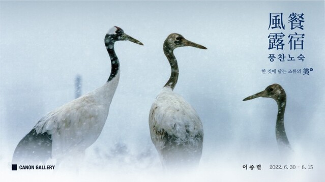 ▲ 자연 속 다양한 야생 조류의 모습을 담은 사진전 '풍찬노숙(風餐露宿)'이 캐논갤러리에서 열린다.ⓒ캐논코리아
