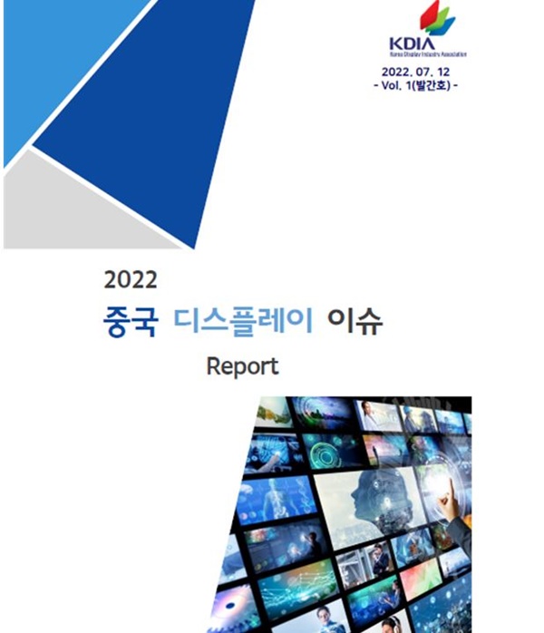▲ 중국 디스플레이 이슈 리포트 표지. ⓒ한국디스플레이산업협회
