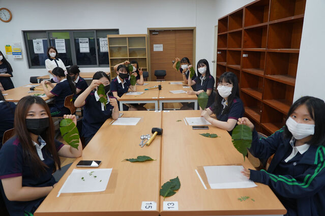 ▲ 수성대학교(총장 김선순)는 유치원 교사를 희망하는 부산 문화여고 3학년 학생들을 대상으로 ‘오감놀이 숲체험 활동’ 진로체험 프로그램을 7일 유아숲체험원과 리오바어린이집 등에서 실시했다.ⓒ수성대