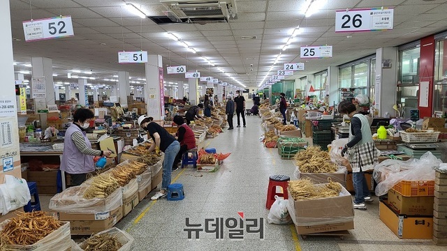 ▲ 충남 금산수삼센터에 진열된 인삼.ⓒ김정원 기자