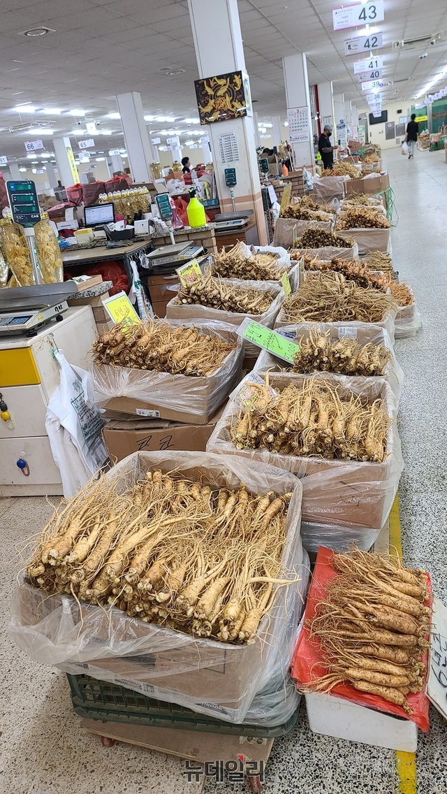 ▲ 충남 금산수삼센터에 진열된 인삼.ⓒ김정원 기자