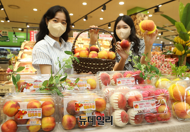 ▲ 롯데마트 직원들이 18일 서울시 중구에 위치한  롯데마트 서울역점에서 다양한 이색 복숭아를 홍보하고 있다.ⓒ롯데쇼핑