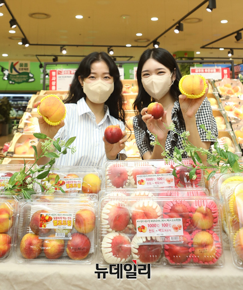 ▲ 롯데마트 직원들이 18일 서울시 중구에 위치한  롯데마트 서울역점에서 다양한 이색 복숭아를 홍보하고 있다.ⓒ롯데쇼핑