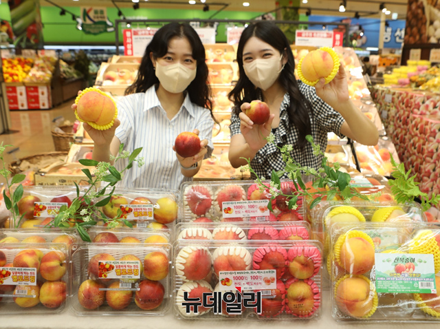 ▲ 롯데마트 직원들이 18일 서울시 중구에 위치한  롯데마트 서울역점에서 다양한 이색 복숭아를 홍보하고 있다.ⓒ롯데쇼핑