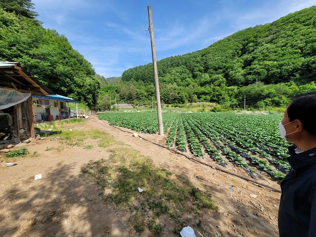 ▲ 진실화해위원회가 1949년과 1951년 강원도 영월군 하동면 내리 주민 6명이 좌익혐의로 희생된 곳으로 지목했다.ⓒ강원도