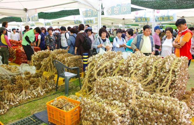 ▲ 단양마늘 축제 모습.ⓒ단양군
