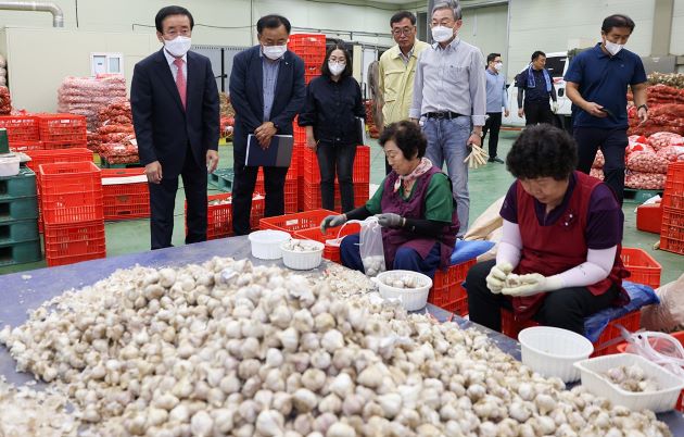 ▲ 김문근 단양군수가 단양마늘축제를 앞두고 지난 18일 단양군 농산물 유통가공센터의 마늘 수매현장을 찾아 더위에 고생하는 관계자들을 격려했다.ⓒ단양군