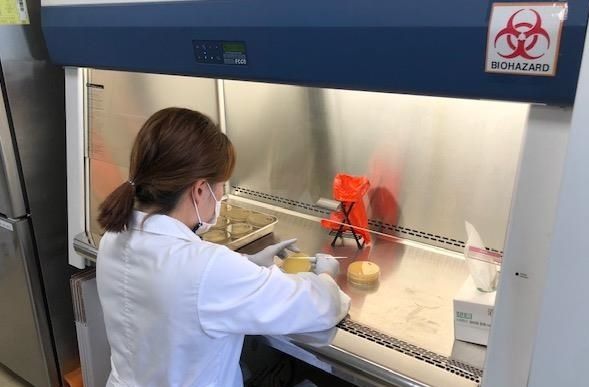 ▲ 식중독 검사.ⓒ충북보건환경연구원
