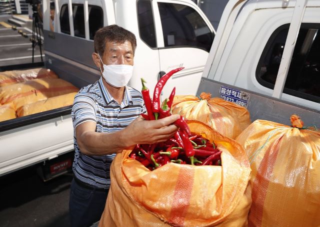▲ 괴산군 홍고추 시장이 3일 괴산군농산물유통센터 광장에서 개장했다.ⓒ괴산군