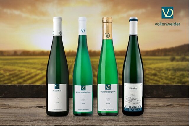 ▲ ⓒ레뱅드매일