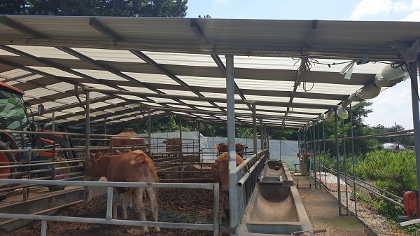 ▲ 충남 부여군 축산농가.ⓒ충남부여