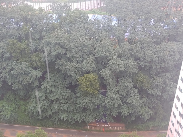 ▲ 충남 천안시 동남구 일봉산 정상에 아파트 건설을 위해 산을 깎아 부지를 조성하고 있다. 그 아래가 두레현대1차아파트 등이 위치해 있다.ⓒ독자 제공