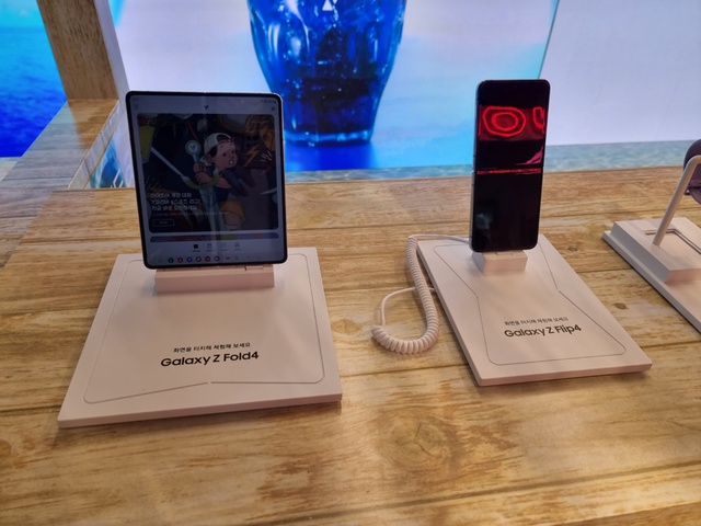 ▲ ⓒ뉴데일리 김성현 기자