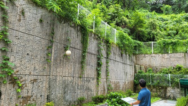 ▲ 대전 서구 공무원이 산림분야 피해 우려 지역을 점검하고 있다ⓒ대전 서구