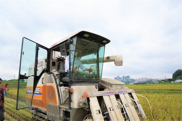 ▲ 박상돈 천안시장이 19일 청당동 오종수 씨의 논에서 콤바인을 운전하며 벼수확을 하고 있다. ⓒ천안시