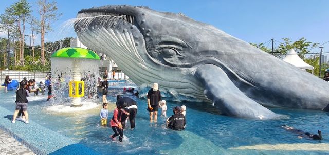 ▲ 청주 생명누리공원 물놀이장.ⓒ청주시