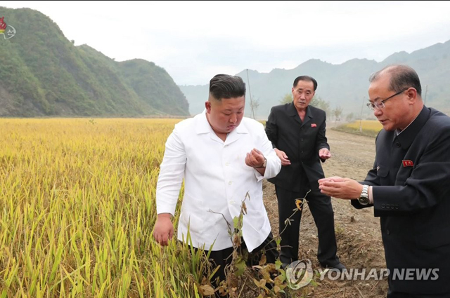 ▲ 2020년 10월 수해를 입었던 강원도 김화군의 논을 둘러보는 김정은. ⓒ연합뉴스. 무단전재 및 재배포 금지.