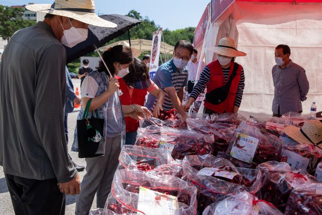 ▲ 지난해 ‘2021괴산고추축제’ 고추장터 모습.ⓒ괴산군