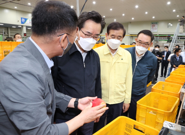 ▲ 정황근 농식품부장관과 조길형 충주시장이 25일 충주 사과 수확·출하 수급 현황을 점검했다.ⓒ충주시