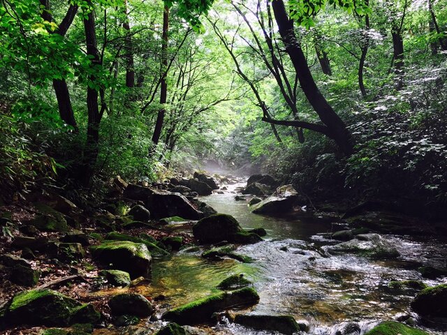 ▲ 충북 보은 속리산 세조길.ⓒ보은군