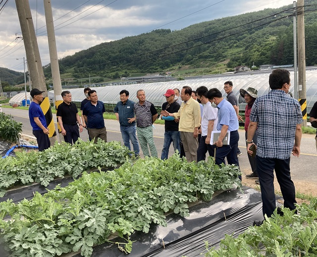 ▲ 박현국 군수가 폭염으로 인한 농작물 피해 현장에 나가 농가의 애로사항을 청취하고 있다.ⓒ봉화군