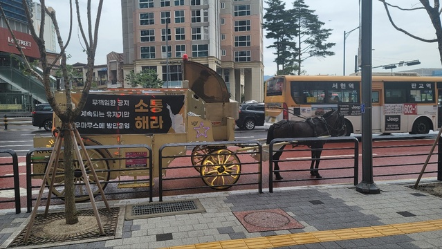 ▲ 우마무스메 마차 시위 ⓒ뉴데일리 김동준 기자