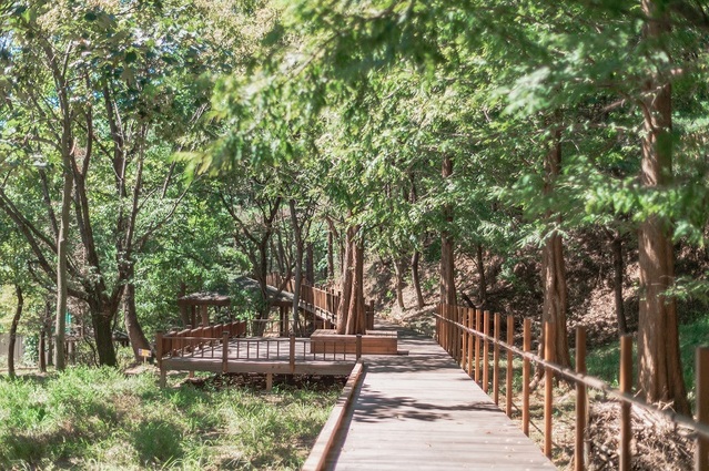 ▲ 충남 천안시가 조성한 태조산 무장애나눔길.ⓒ천안시