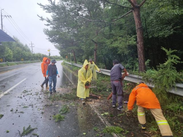 ▲ 30일 오후 3시21분께 괴산군 청천면 운교리 한 도로에 나무가 쓰러져 119가 출동해 안전 조치를 했다.ⓒ충북소방본부