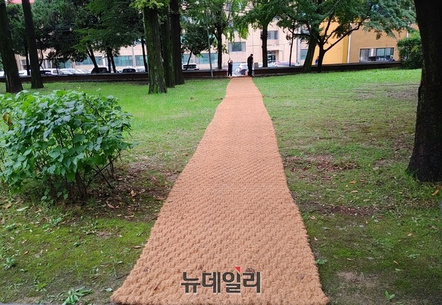 ▲ 김영환 충북도지사 취임 후 ‘차 없는 도청’과 관련해 논란이 이어지고 있는 가운데 31일 충북도청 담장(상당공원) 2m를 허물었다.ⓒ뉴데일리 D/B