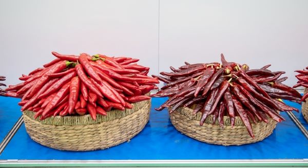 ▲ ‘2022 괴산고추축제’ 청결고추품평회에서 대상을 차지한 문광면 방성리 심성택 농가 출품고추.ⓒ괴산군