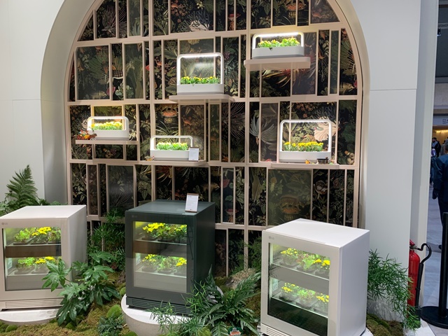 ▲ 독일 베를린에서 열린 유럽 최대 가전전시회 'IFA 2022'에서 LG전자 부스에 전시된 'LG 틔운'. ⓒ이성진 기자