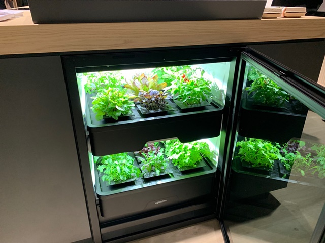 ▲ 유럽 최대 가전전시회 'IFA 2022'에서 밀레가 전시한 식물가전. ⓒ이성진 기자